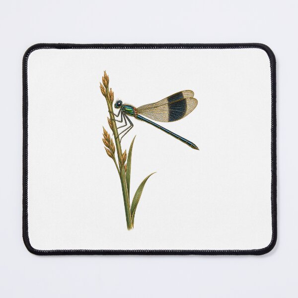 Item preview, Damselfly Specimen | Vintage Entomology Insect Art | Insect Collector Gift designed and sold by Brackenlume Studio.