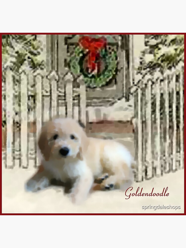 goldendoodle gifts