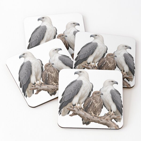 Item preview, White-bellied Sea-Eagle Family of Gabo Island designed and sold by Colin Dixon.