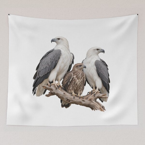 Item preview, White-bellied Sea-Eagle Family of Gabo Island designed and sold by Colin Dixon.
