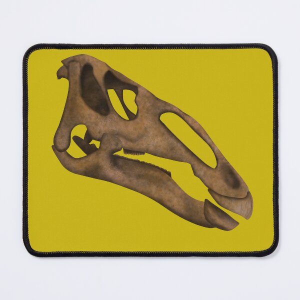 Item preview, Edmontosaurus Skull Fossil designed and sold by JAMiron Paleoart.