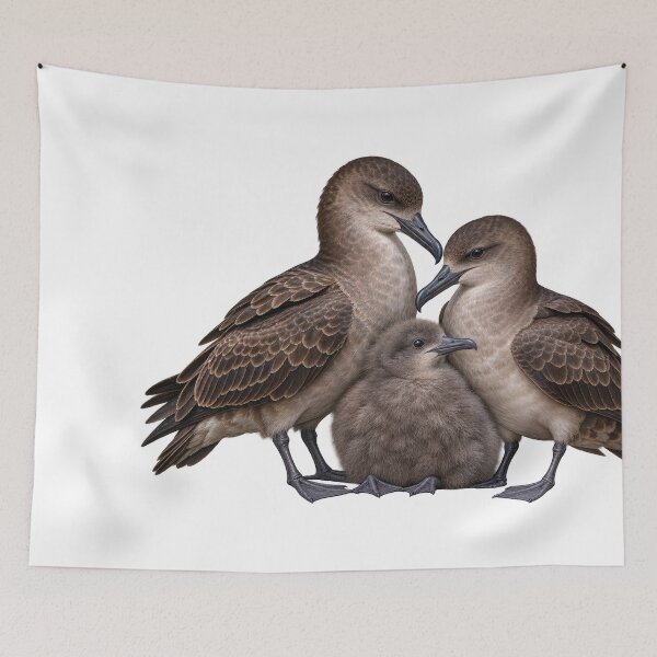 Item preview, Short-tailed Shearwater Family of Gabo Island designed and sold by Colin Dixon.