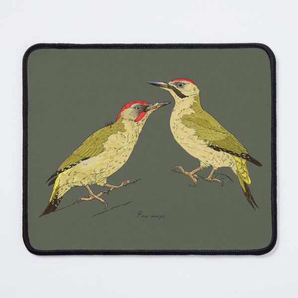 Item preview, Iberian Green Woodpecker designed and sold by Luzeilustración.