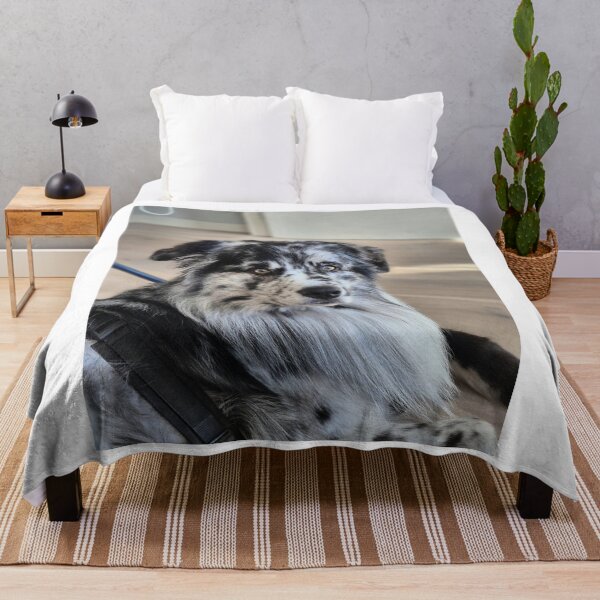 Item preview, Blue Merle Australian Shepherd Dog Portrait designed and sold by VanGaldo.