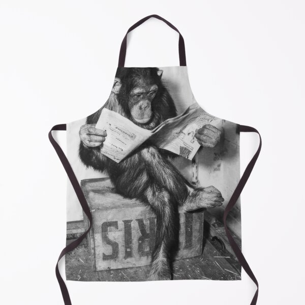 Item preview, Chimpanzee Reading Newspaper designed and sold by charlesDeArt.