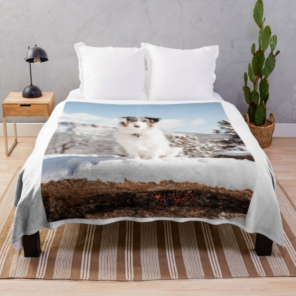 Item preview, Blue Merle Australian Shepherd In Snow designed and sold by VanGaldo.