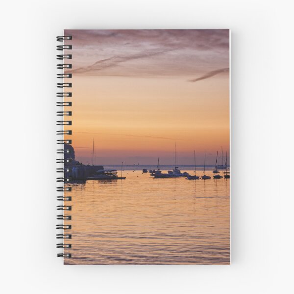 Aperçu de l'œuvre L'aube sur la rivière Dart et la porte d'entrée du monde à Dartmouth, Devon, Angleterre, Royaume-Uni créée et vendue par John Gilham - Landscape Photography.