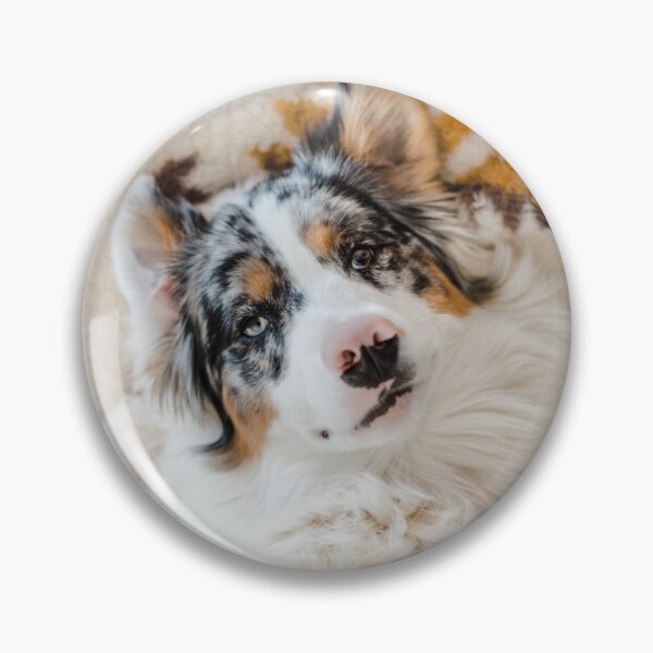 Artikelvorschau, Blauer Merle Australian Shepherd auf Decke entworfen und verkauft von VanGaldo.