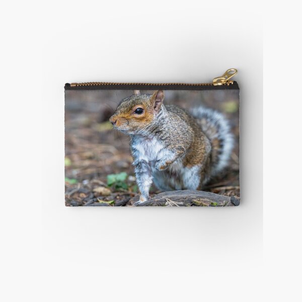 Item preview, Eastern grey squirrel (Sciurus carolinensis)   designed and sold by Stephen Jarman.