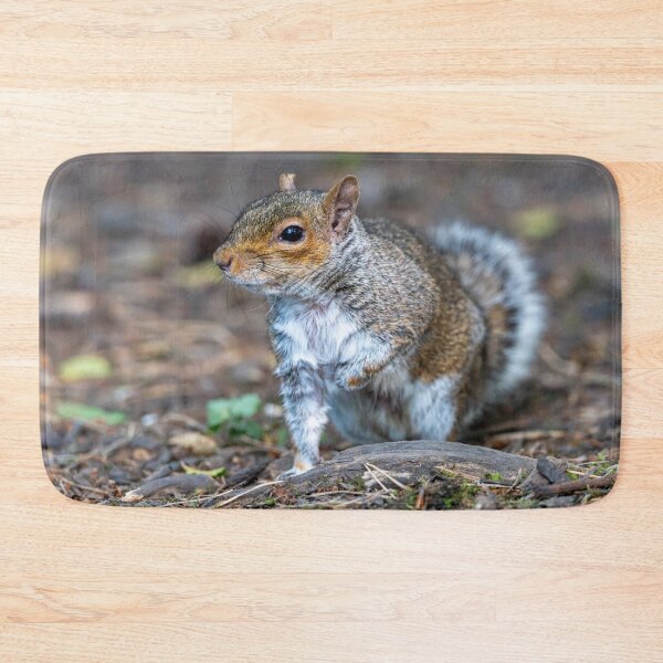 Item preview, Eastern grey squirrel (Sciurus carolinensis)   designed and sold by Stephen Jarman.