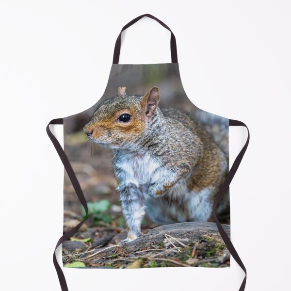 Item preview, Eastern grey squirrel (Sciurus carolinensis) designed and sold by Stephen Jarman.