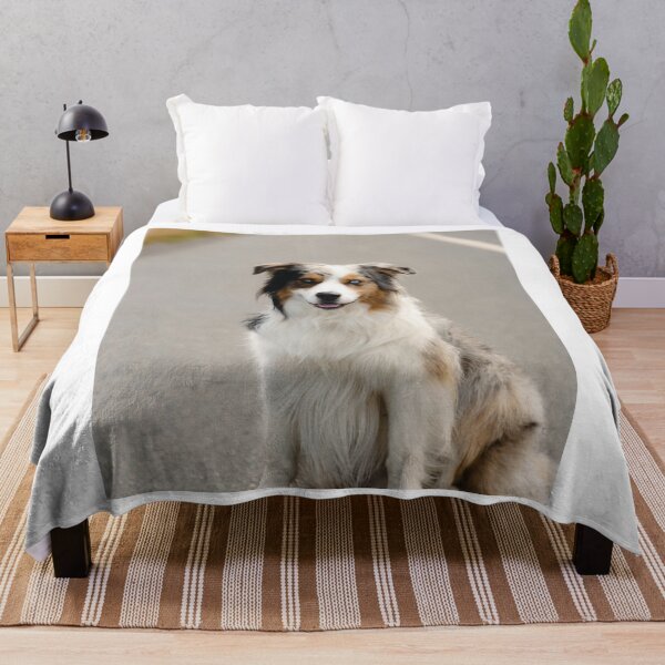 Item preview, Blue Merle Australian Shepherd Outdoor Portrait designed and sold by VanGaldo.