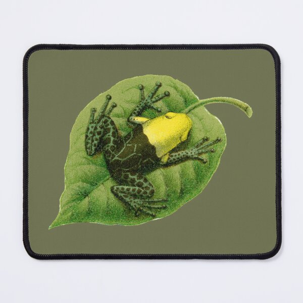 Item preview, Forest tree frog antique illustration designed and sold by Anne Londez Studio.
