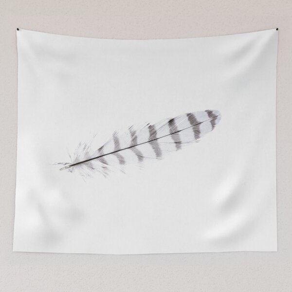 Item preview, Sparrowhawk designed and sold by Steve Purnell Photography.