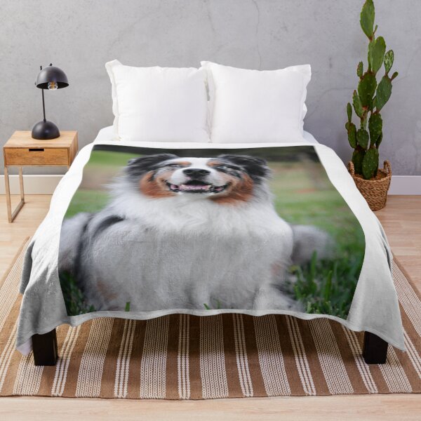 Item preview, Blue Merle Australian Shepherd Dog Portrait designed and sold by VanGaldo.