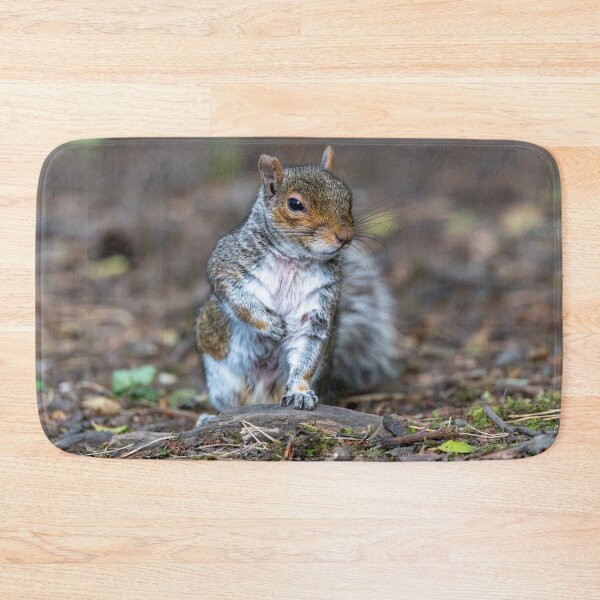 Item preview, Eastern grey squirrel (Sciurus carolinensis)   designed and sold by Stephen Jarman.