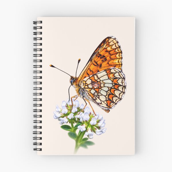 Item preview, Orange Butterfly – Delicate Wings designed and sold by Medve Photography & Design.
