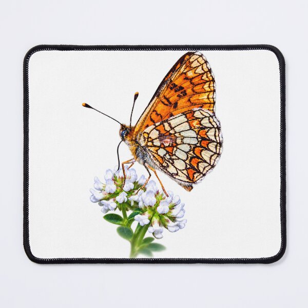 Item preview, Orange Butterfly – Delicate Wings designed and sold by Medve Photography & Design.