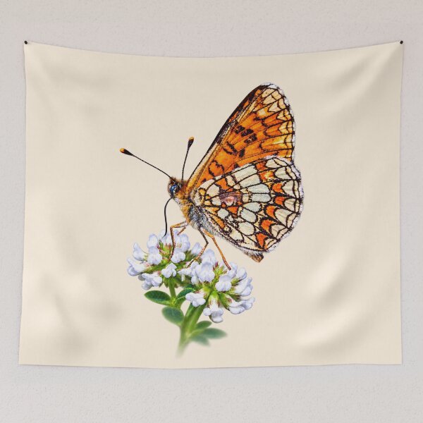 Item preview, Orange Butterfly – Delicate Wings designed and sold by Medve Photography & Design.