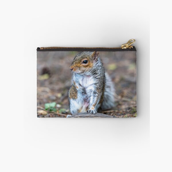 Item preview, Eastern grey squirrel (Sciurus carolinensis)   designed and sold by Stephen Jarman.
