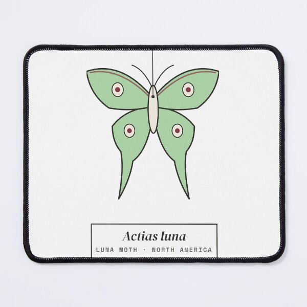 Item preview, Luna Moth Specimen - Vintage Entomology Actias Luna designed and sold by Rilindi.