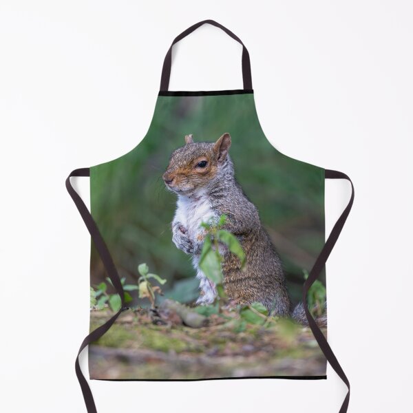 Item preview, Eastern grey squirrel (Sciurus carolinensis) designed and sold by Stephen Jarman.