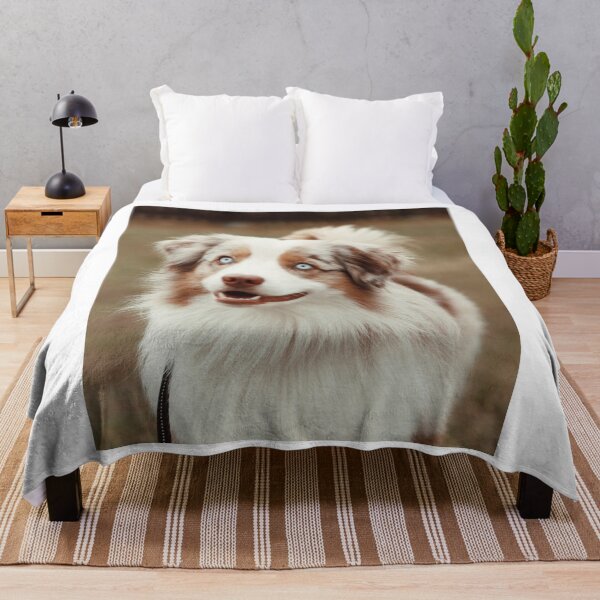 Item preview, Blue Eyed Red Merle Australian Shepherd designed and sold by VanGaldo.