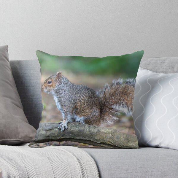 Item preview, Ardilla gris oriental (Sciurus carolinensis) designed and sold by Stephen Jarman.