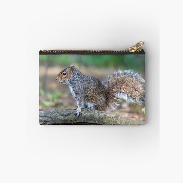 Item preview, Eastern grey squirrel (Sciurus carolinensis)   designed and sold by Stephen Jarman.