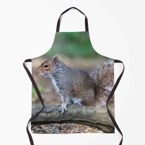 Item preview, Eastern grey squirrel (Sciurus carolinensis) designed and sold by Stephen Jarman.