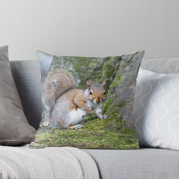 Item preview, Ardilla gris oriental (Sciurus carolinensis) designed and sold by Stephen Jarman.