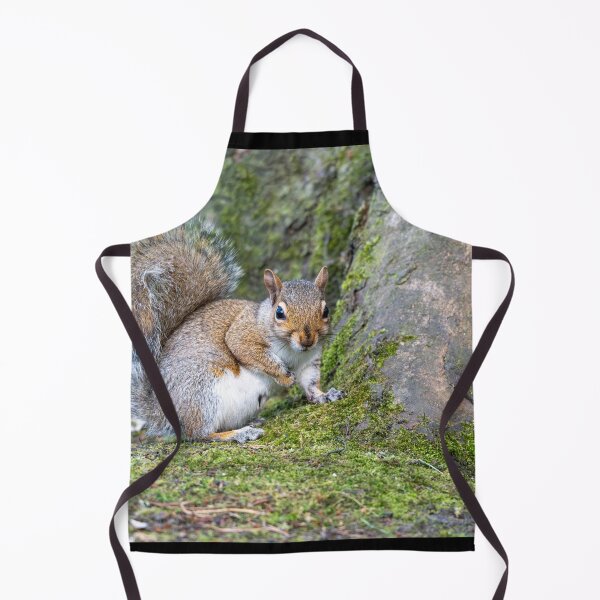 Item preview, Eastern grey squirrel (Sciurus carolinensis)   designed and sold by Stephen Jarman.