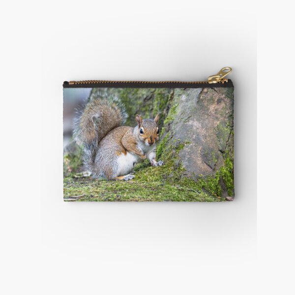 Item preview, Eastern grey squirrel (Sciurus carolinensis)   designed and sold by Stephen Jarman.