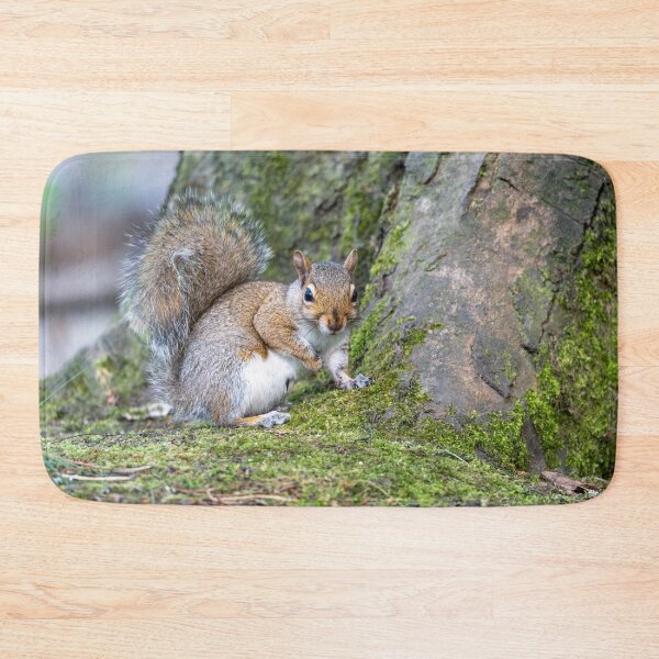 Item preview, Eastern grey squirrel (Sciurus carolinensis)   designed and sold by Stephen Jarman.