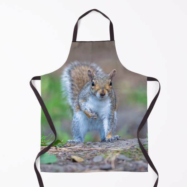 Item preview, Eastern grey squirrel (Sciurus carolinensis) designed and sold by Stephen Jarman.