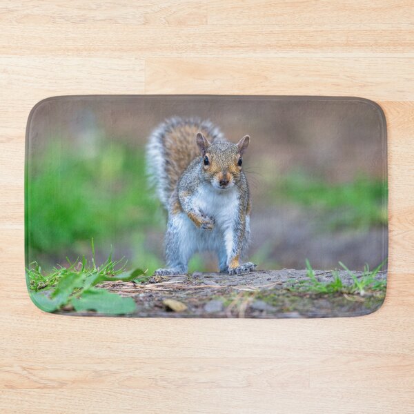 Item preview, Eastern grey squirrel (Sciurus carolinensis)    designed and sold by Stephen Jarman.