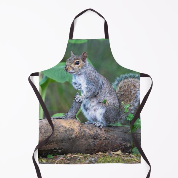 Item preview, Eastern grey squirrel (Sciurus carolinensis) designed and sold by Stephen Jarman.