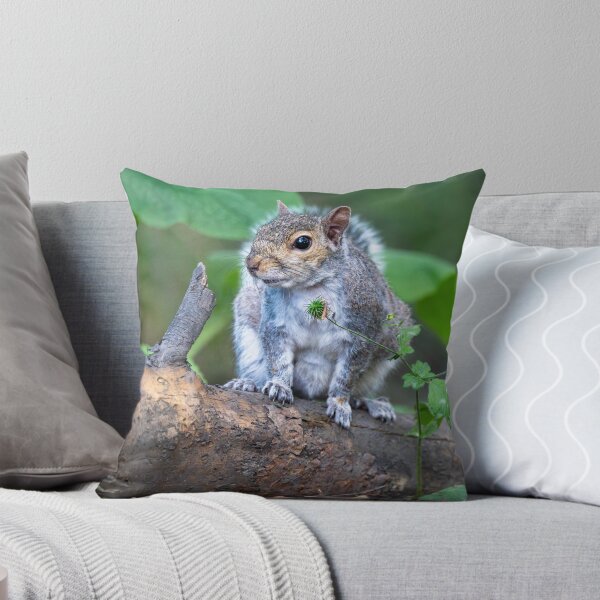 Item preview, Eastern grey squirrel (Sciurus carolinensis)   designed and sold by Stephen Jarman.