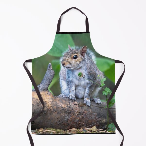 Item preview, Eastern grey squirrel (Sciurus carolinensis) designed and sold by Stephen Jarman.
