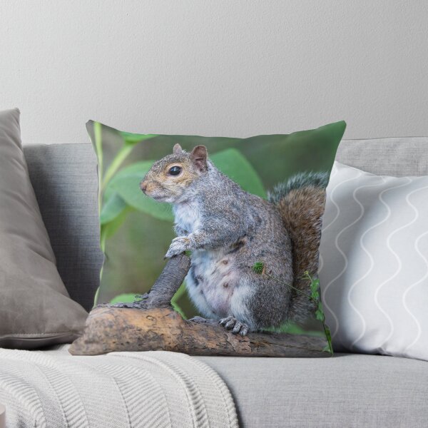 Item preview, Eastern grey squirrel (Sciurus carolinensis)    designed and sold by Stephen Jarman.