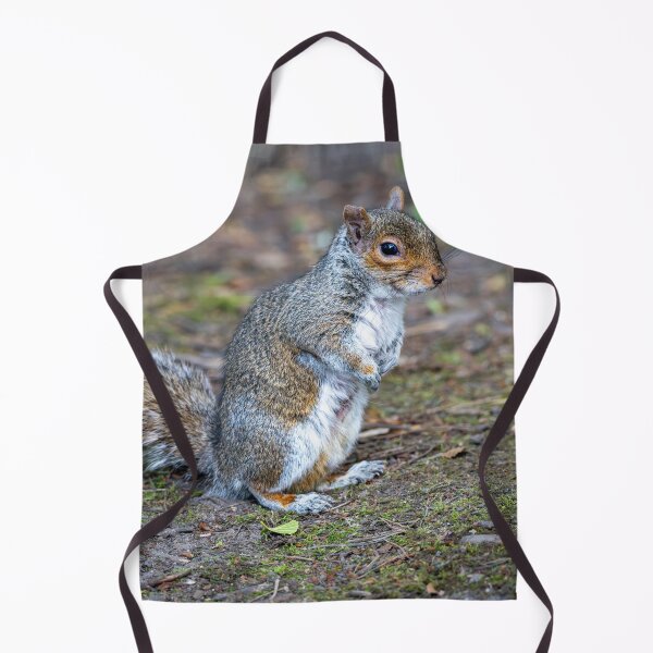 Item preview, Eastern grey squirrel (Sciurus carolinensis) designed and sold by Stephen Jarman.