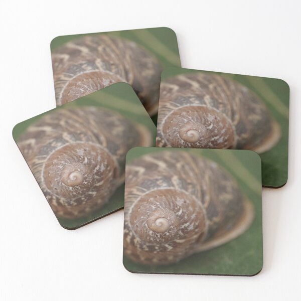 Item preview, Big snail on a leaf designed and sold by Top-photo.