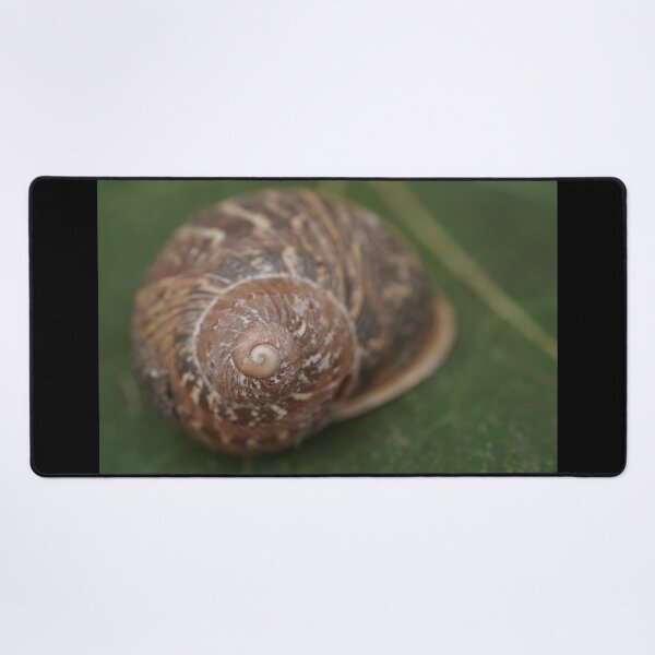 Item preview, Big snail on a leaf designed and sold by Top-photo.