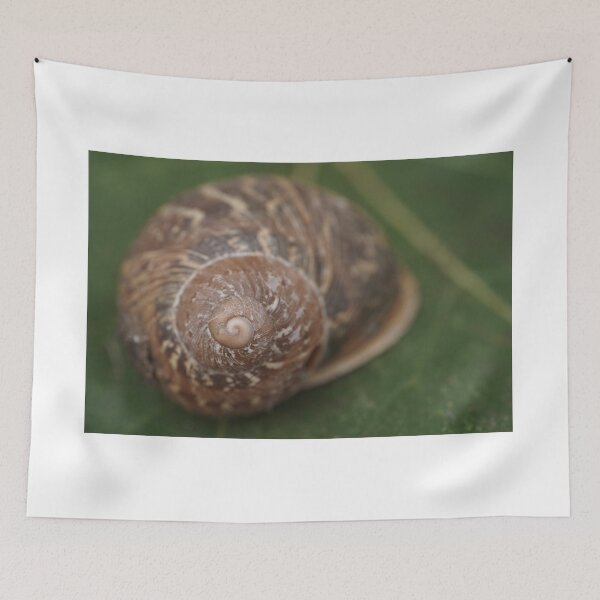 Item preview, Big snail on a leaf designed and sold by Top-photo.