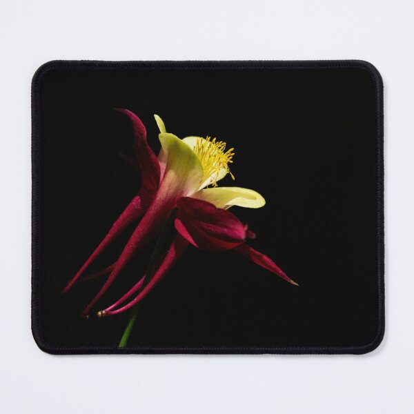Item preview, Aquilegia designed and sold by AndrewJonesFoto.