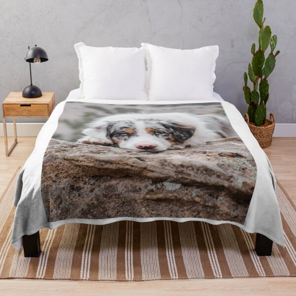 Item preview, Cute Aussie Shepherd Lying On Rock designed and sold by VanGaldo.