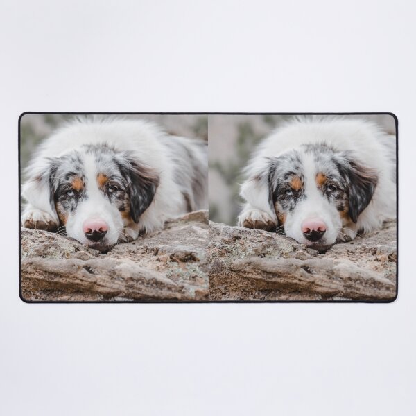 Item preview, Cute Aussie Shepherd Lying On Rock designed and sold by VanGaldo.