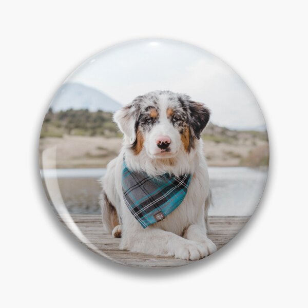 Artikelvorschau, Kariertes Halstuch mit blauem Augenmotiv, Australian Shepherd entworfen und verkauft von VanGaldo.