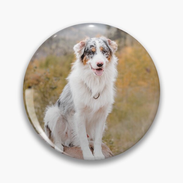 Artikelvorschau, Flauschiger Australian Shepherd auf einem Bergfelsen entworfen und verkauft von VanGaldo.