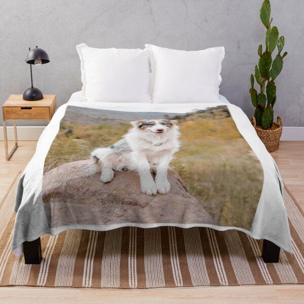 Item preview, Fluffy Australian Shepherd on Mountain Rock designed and sold by VanGaldo.